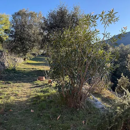 La Bellevue Hébergement de vacances Valleraugue