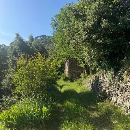 בית נופש La Bellevue ואלרוג