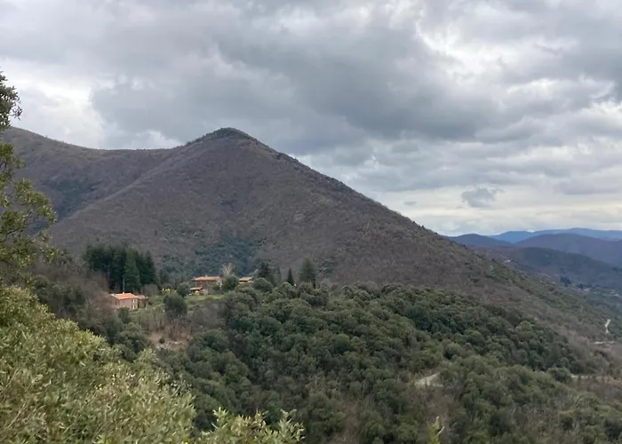 La Bellevue * 발레로그